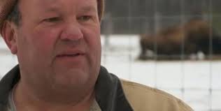 Ten loose bison euthanized in Kenosha Co., seven others safely corralled