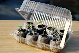 You can not only build greenhouses, but also dog houses or chicken coops made of plastic bottles. 27 Diy Greenhouses For Every Size Budget Skill Level