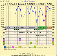 Confused On Ovulation