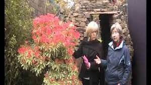 It is native to eastern china, taiwan, and japan, where it grows in mountain thickets. Lavendelheide Ein Hingucker In Ihrem Garten