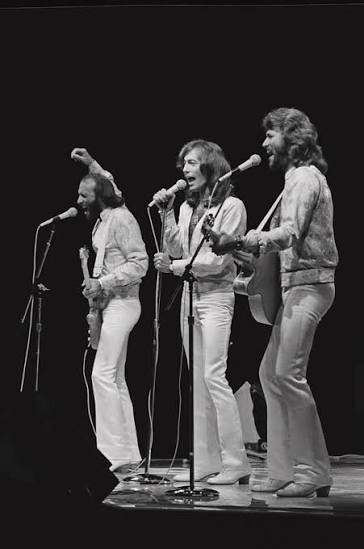The Bee Gees Perform Live by Richard Mccaffrey