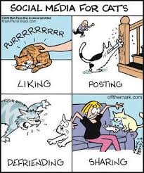 Pin By Tamsyn Blanchard On All Things Cats Cats Funny Cartoon Cat Jokes Funny Cats