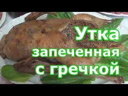 как приготовить утку в рукаве с гречкой в духовке Utka Farshirovannaya Grechkoj Zapechennaya V Duhovke Youtube