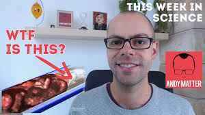 How fast can a pulsar spin? What are clearwigs? + more...