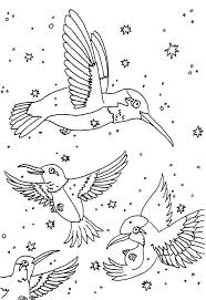 Top 10 Hummingbird Coloring Pages For Your Toddler Bird Coloring Pages Coloring Pages Animal Coloring Pages