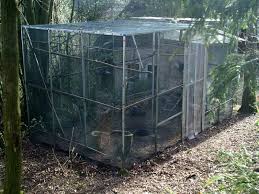 Free delivery for many products! Grundsatzliches Zum Volierenbau Wildvogelhilfe Org