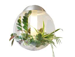 Led grow light, shengsite 75w plant grow lights for indoor house plants full spectrum growing lamp for hydroponics,greenhouses,grow tent,plant factory,flower&vegetable 4.4 out of 5 stars 2,520 $25.99 $ 25. Indoor Plant Lights For Aeroponics