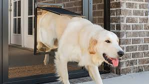 Check spelling or type a new query. 5 Best Storm Door With Dog Door Choices In 2020 Buyers Guide