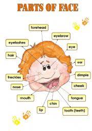 We hope you find these facts about the human body interesting, stimulating and educational. Draw And Color The Faces Practice On Colors Parts Of The Face Adjectives And Structure Have Has Got Esl Worksheet By Life Line