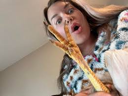 BYC (BackYardChickens)