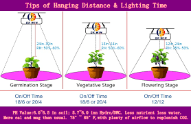 11 simple guidelines to know before buying grow lights