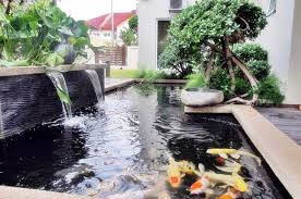 Coba kalian bayangkan, saat ada tamu yang baru pertama kali masuk kerumah dan melihat di depan rumah ada kolam ikan bergaya minimalis, tentu mereka langsung takjub dengan keindahan rumah yang kita miliki. Ldoxbc3kousqsm