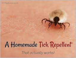 Neem is very effective against most insects because it disrupts their hormonal cycles. Homemade Tick Repellent Spray That Works And Is Backed By Research