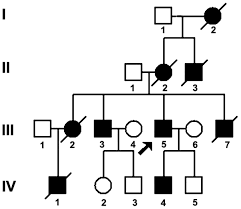 Spinocerebellar Ataxia Type 3 Machado Joseph Disease Manifested As Spastic Paraplegia A Clinical And Genetic Study