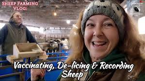 Proud Mom With Her Newborn Lamb! #lambs