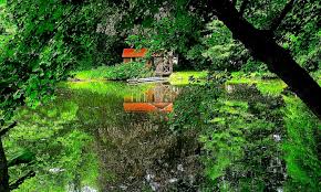 3d Nature Wallpaper Desktop For Windows 7 Wallpaper Background Gallery Nature can refer to the phenomena of the physical world, and also to life in general.