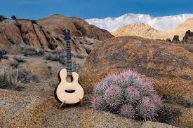 The solid circles you'll see in the images below represent where you position your fingers on the strings. A Story About Anuenue Ukuleles And Guitars And A Visit To China Part 1 Of 2 John Barclay Photography