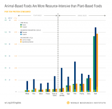 Heres How We Can Rethink The Way We Eat Meat World