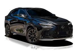 Image result for Starlight Black 2015 NX