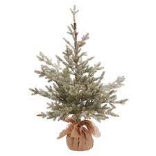 Small blisters contain a transparent aromatic resin that has been traditionally used as an inhalant for headaches and native from labrador to upper eastern u.s. 3ft Flocked Pre Lit Artificial Christmas Tree Potted Balsam Fir Warm White Dew Drop Led Lights Wondershop Target Inventory Checker Brickseek