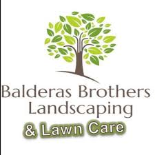 We did not find results for: The 10 Best Tree Trimming Services In Phoenix Az 2021