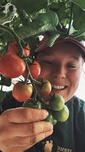 You're a gardener when tomatoes save money