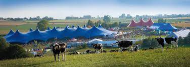 Festival dranouter in je kot: Dranouter Festival Visitflanders