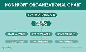 organizational chart business plan sample e in pdf