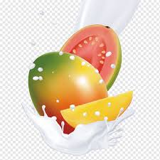 Be the first to review buah mangga susu 1kg cancel reply. Jus Susu Buah Mangga Kartun Yang Dilukis Dengan Tangan Mengalir Susu Buah Lukisan Cat Air Makanan Tangan Png Pngwing