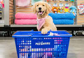 How to become a dog groomer at petsmart. Working In Our Pet Salons Careers At Petsmart Apply