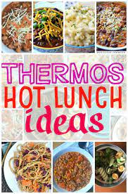 Hot Lunch Ideas For Your Child S Thermos Homemade Lunch Thermos Lunch Ideas Hot Lunch