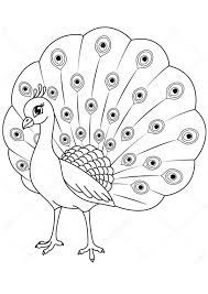 Some are easy so your kids can color them. Peacock Coloring Pages For Preschoolers Coloring Pages Blog Organize