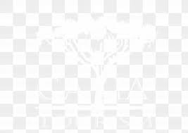 Hair Transplantation Hair Tattoo Mural Industry Company Png 1132x1097px Hair Transplantation Arm Business Businessperson Businesstobusiness Service Download Free Search more hd transparent tattoos image on kindpng. favpng com