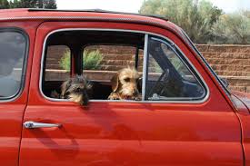 Let S Go Tom Tt Car Fiat 500l Fiat 500