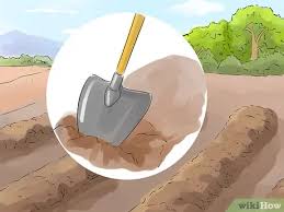 The remaining soil is loosened to a. 5 Ways To Plow A Field Wikihow