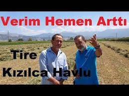 tire yonca tarlasinin verimi nasil artar yonca balya isi yapandan dinleyelim youtube youtube science tarim