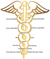 Hermesstab Kundalini Medizin Studieren Spirituell