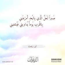 الديوان موسوعة الشعر العربي ابن زيدون arabic calligraphy poet calligraphy