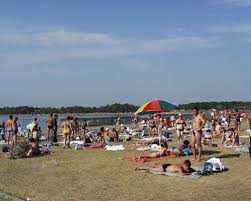 Maybe you would like to learn more about one of these? Consiliul Judetean Braila