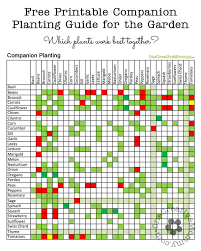 15 unusual companion planting chart free