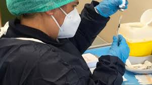 50 scatteranno dal 18 maggio. Vaccini Covid19 In Toscana Superata Quota 650mila Luccaindiretta