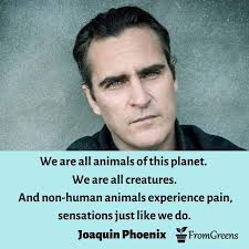 What famous christian should we follow in the example of. Biggest Vegan Quotes Gallery Nutrition Environment Animal Rights Vegan Quotes Vegan Celebration Quotes