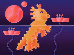 Octopus by Mary Maka