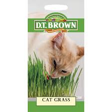 Sow seeds ¼ inch deep in seed starting formula in the container where the plants will grow. D T Brown Cat Grass Big W