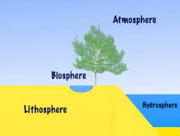 cc week 13 simple diagram of hydrosphere biosphere