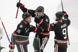 Biagio Lerario Mens Ice Hockey Northeastern University