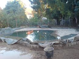 Continue to 5 of 25 below. How To Clean A Pond Liner Arxiusarquitectura