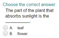 Oct 19, 2020 · a comprehensive database of more than 11 workplace safety quizzes online, test your knowledge with workplace safety quiz questions. Plant Life Cycle Quiz Turtle Diary
