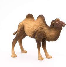 Camel will by default wait 10 seconds when the assertissatisfied() is invoked. Amazon Com Papo Bactrian Camel Figure Toys Games