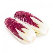 Chris reifert, danny coralles, eric cutler, and joe trevisano examine and reflect every autopsy. Trevisano Radicchio Koriandrum